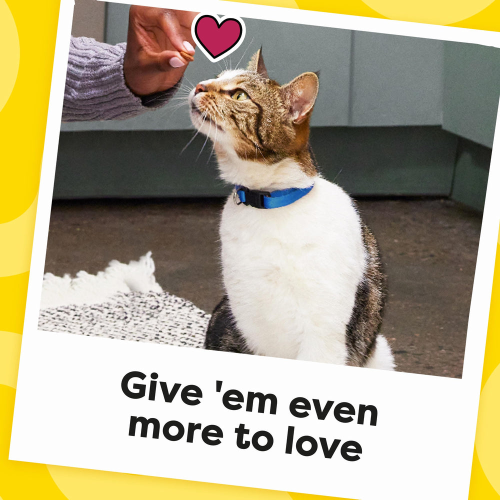 Temptations Jumbo: parfait pour l’entraînement et les routines de jeu.