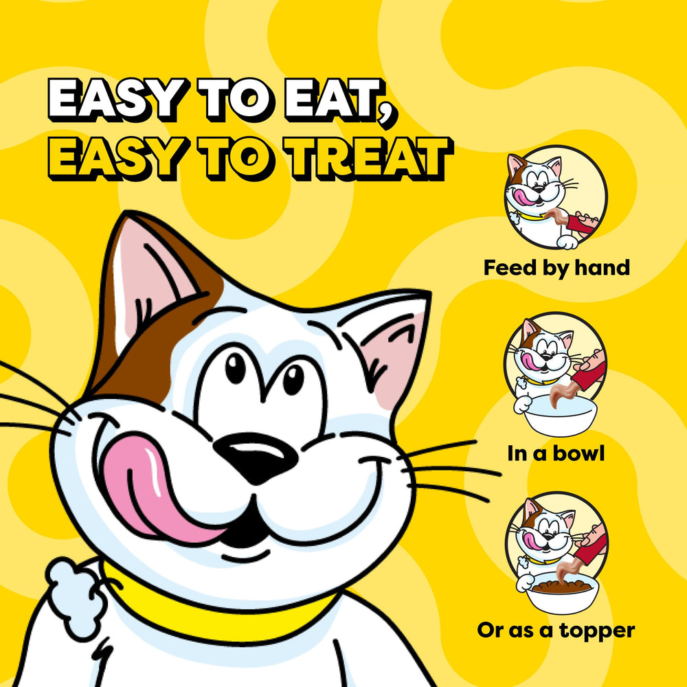 Poche à portion unique Temptations, dosage pratique pour le chat.