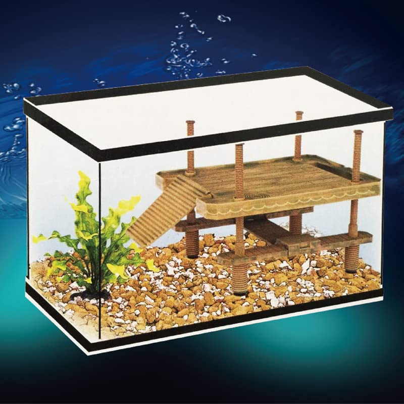 TEMU-SC ensemble accessoires végétaux décoratifs, apportant une ambiance naturelle.