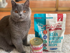 Ingrédients limités Tender & True, idéal pour chats sensibles.