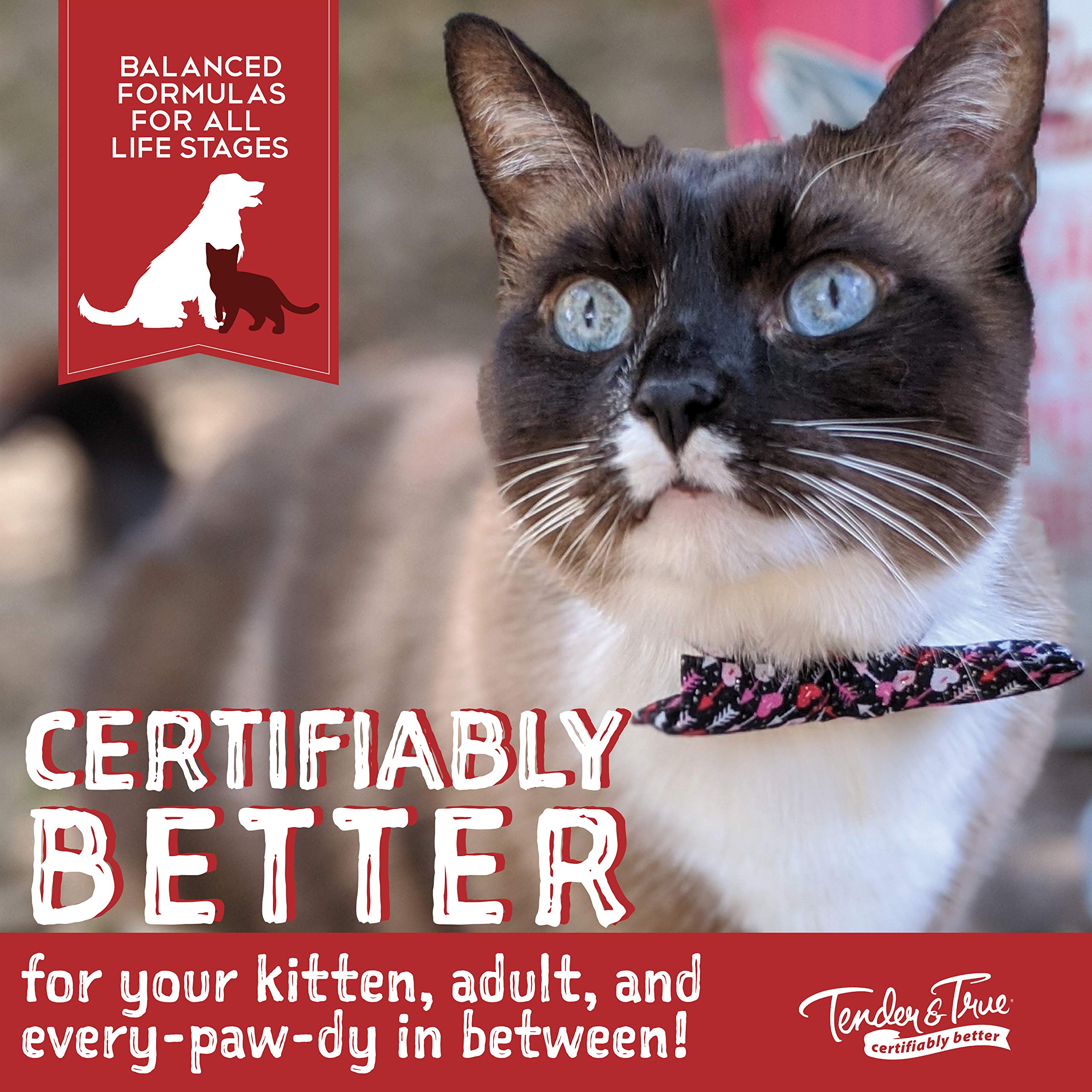 Tender & True recette sans céréales, idéale pour chats sensibles.