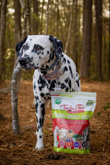 Tender & True Recette du Marché Fermier – poulet et dinde biologiques pour chien.