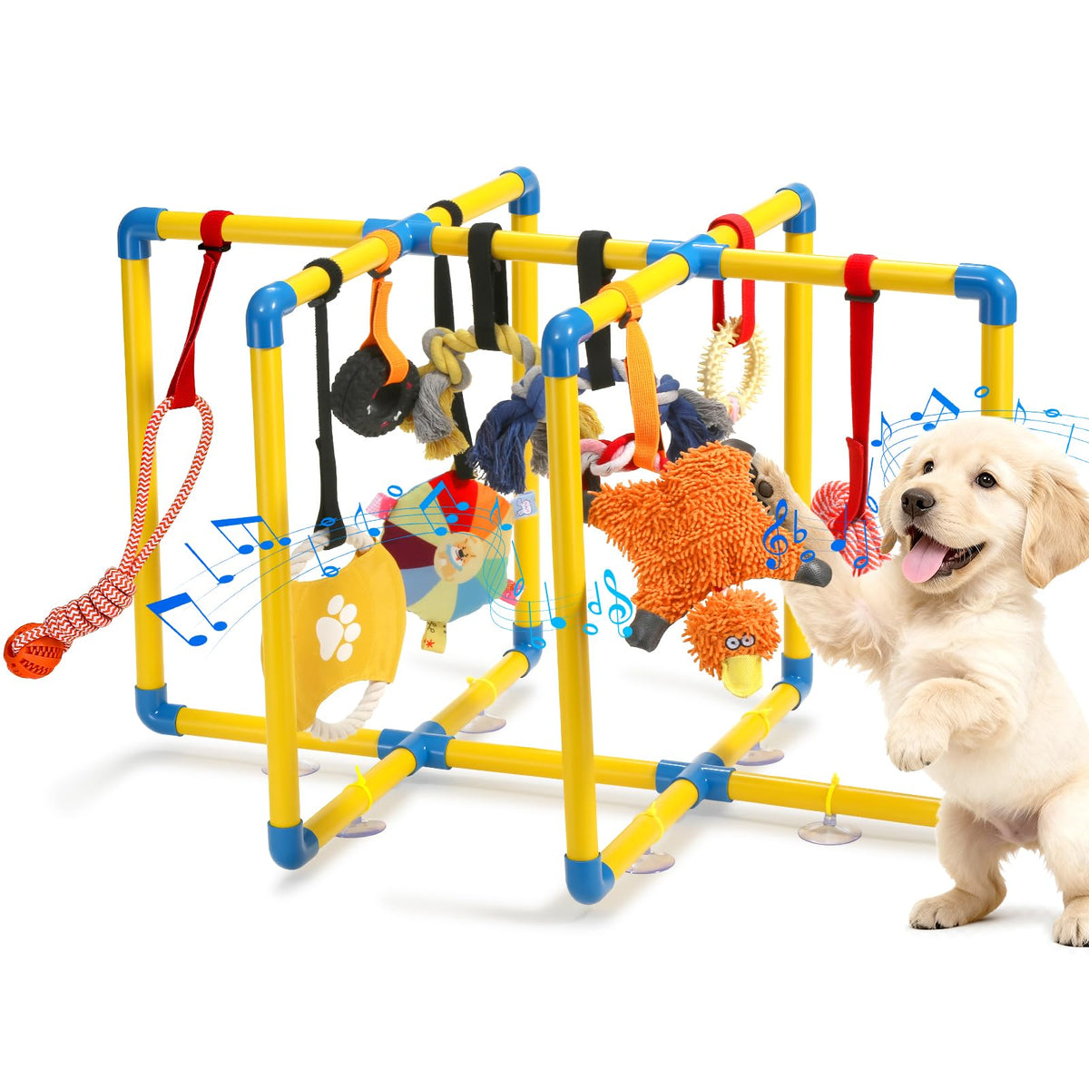 Tengantongda aire de jeux chiots cadre renforcé pour stabilité accrue