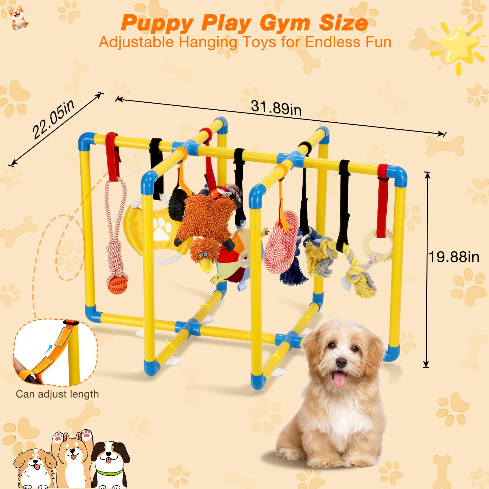Réglage Bungee Tengantongda pour chiots de toutes tailles