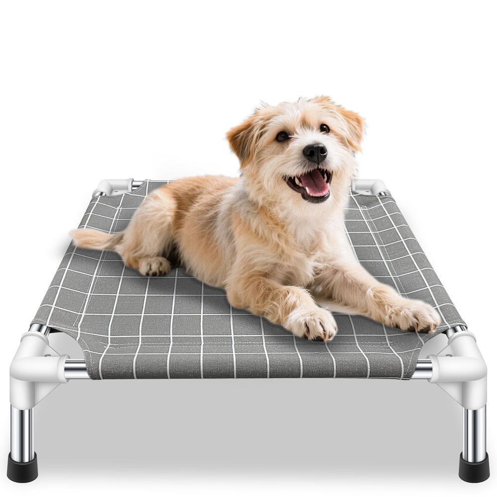 Tensorsine lit surélevé pour petit chien – cadre inox sans peinture, sécurité.