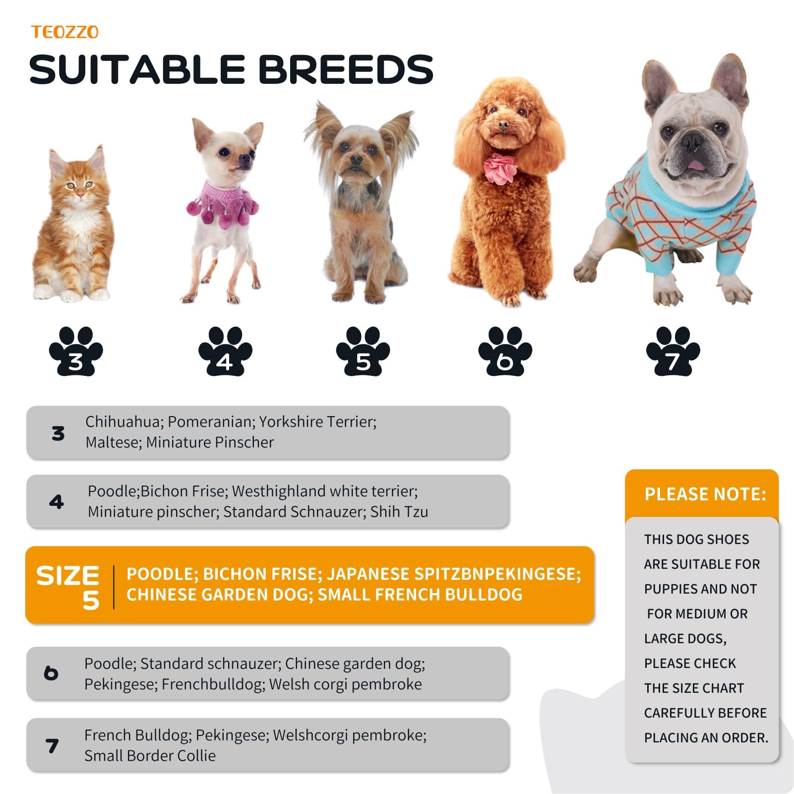 TEOZZO bottes pour chien – sangles réfléchissantes pour sécurité nocturne.