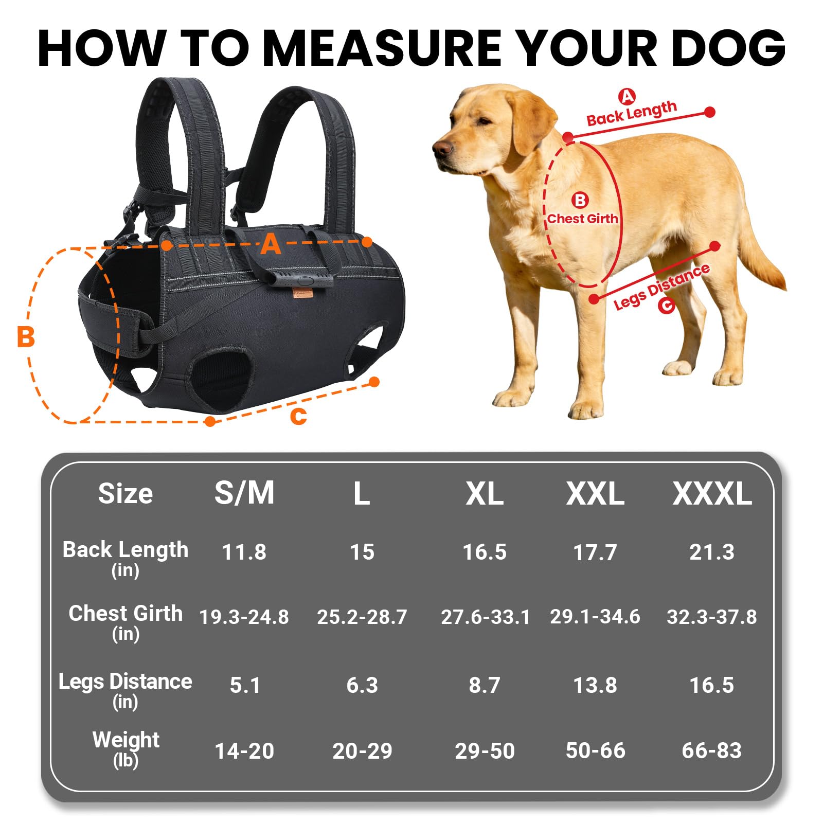 Sling Terapaton porte-chien, porté dorsal pour transferts et trajets courts.