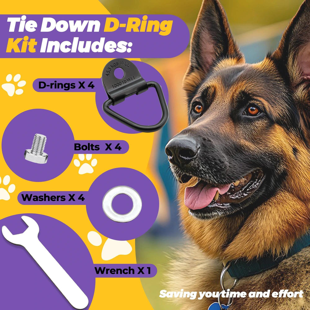 Terixe D-rings 1000-lb, résistance élevée pour cage de chien