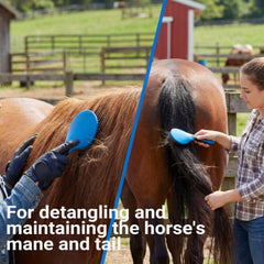 TERPUP brosse dure cheval: efficace contre la salete tenace