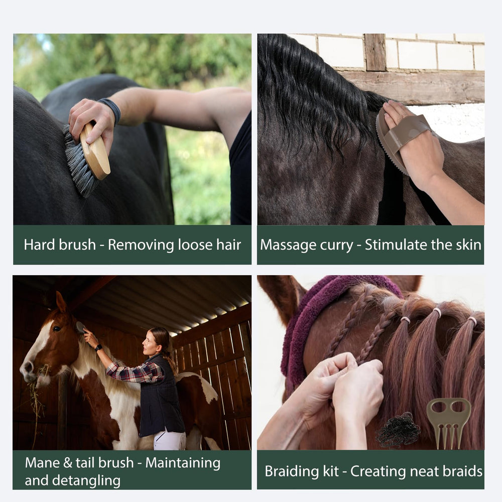 Terpup curry oval massage cheval : stimule la circulation et détend les muscles