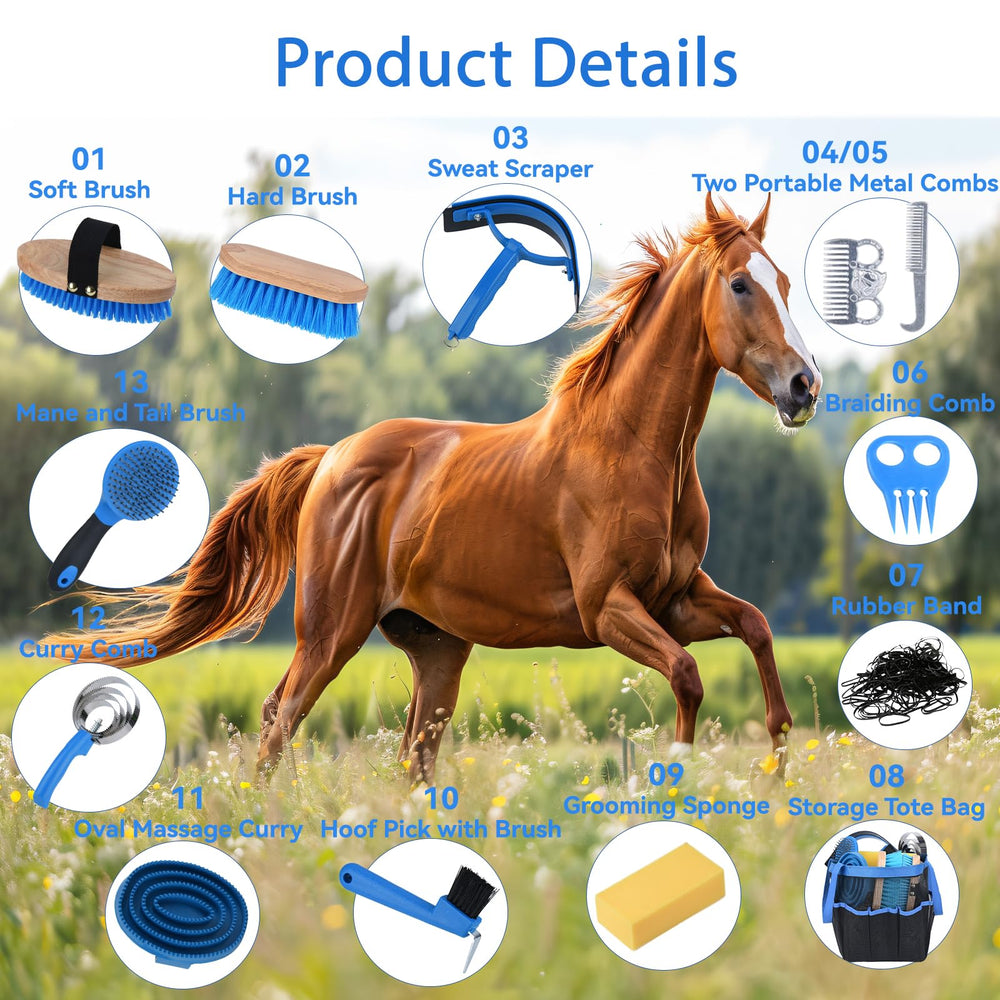 TERPUP eponge toilettage cheval: lavage en douceur des zones sensibles