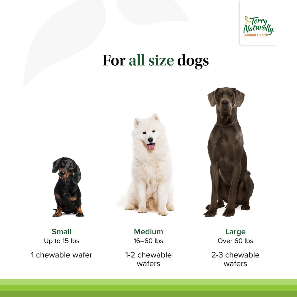 Dose quotidienne Terry Naturally pour chien moyen, soutien articulaire.