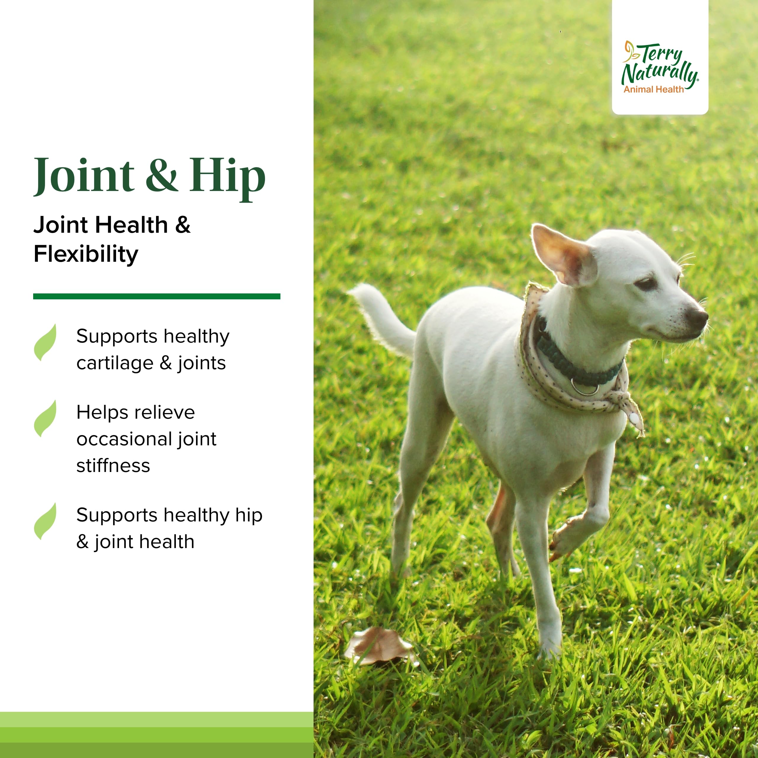 Dose quotidienne Terry Naturally pour petit chien, dosage adapté selon la taille.