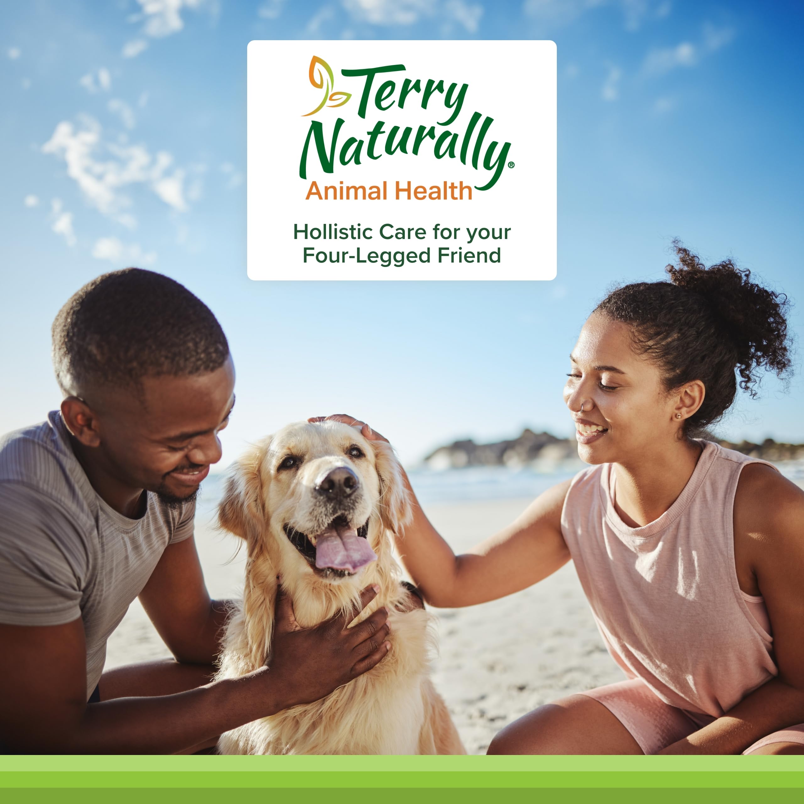Sans noix et gluten – Terry Naturally articulation chien, complément sûr pour chiens sensibles.