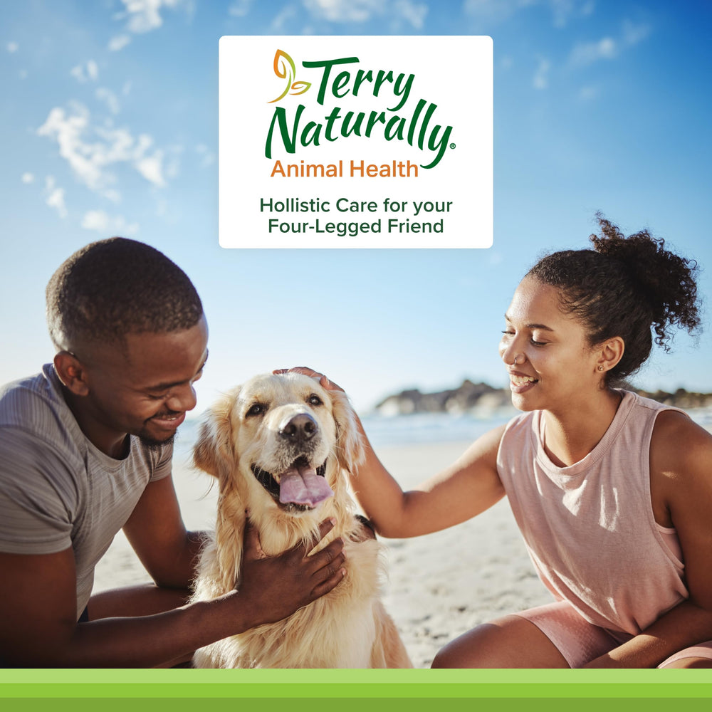 Sans noix et gluten – Terry Naturally articulation chien, complément sûr pour chiens sensibles.