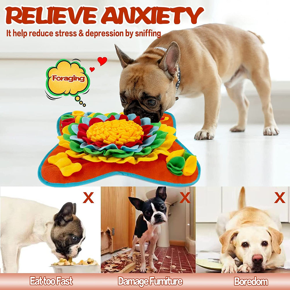 Tesitehi Snuffle Mat base anti-derapante et bandouliere, stabilité pendant les sessions