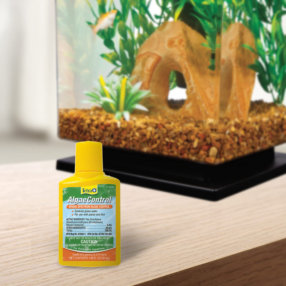 Tetra Algae Control algues filamentaires visibles dans l’aquarium