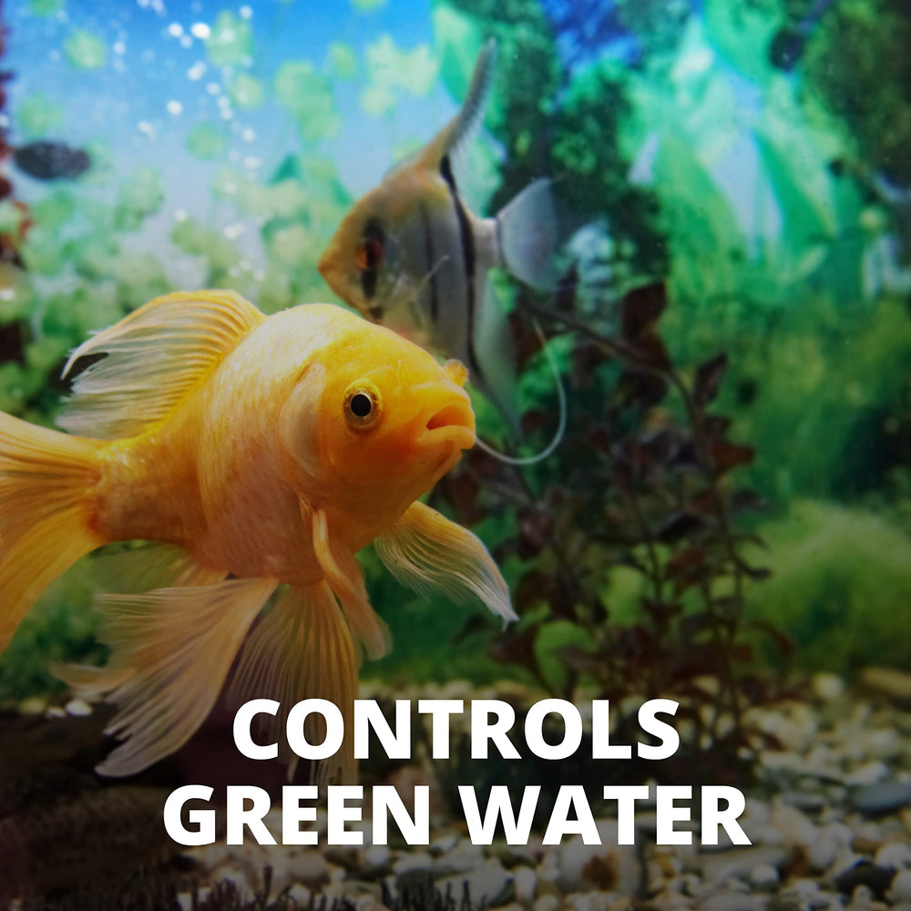 Tetra Algae Control dose précis prêt à être appliqué