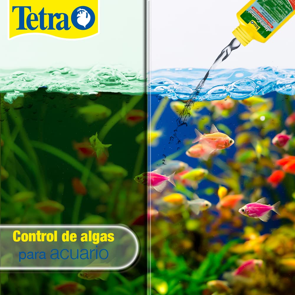 Tetra Algae Control sur verre et décor, lutte contre les algues