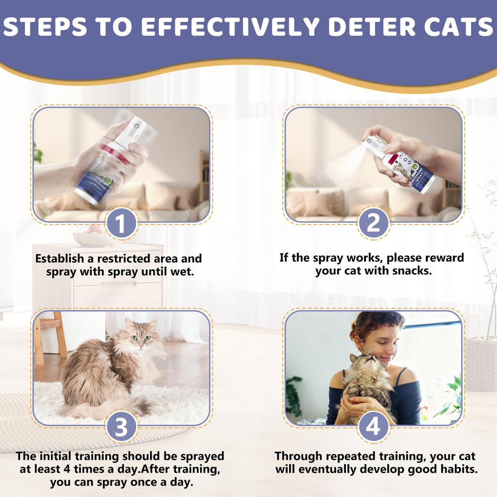 Tetra Anti-Griffe Chat instaurer une routine sans griffures.