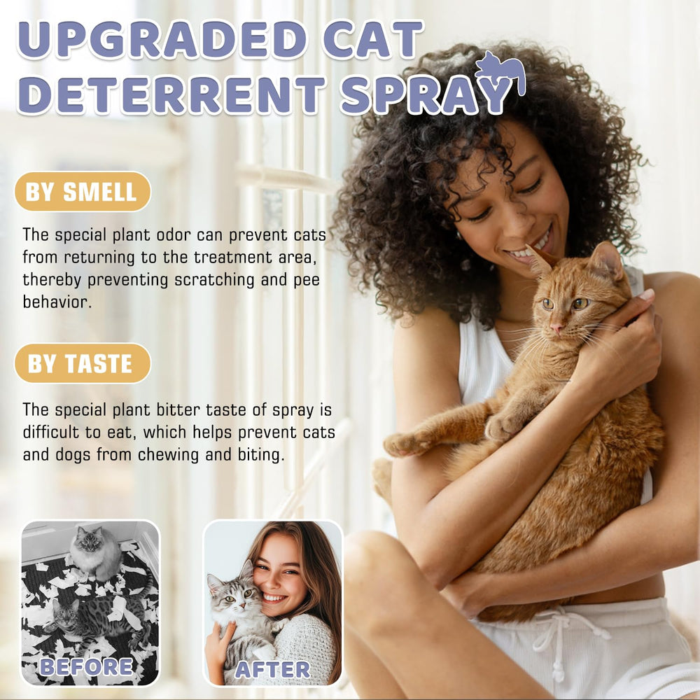 Tetra Anti-Griffe Chat utilisé sur canapé pour prévenir griffures.
