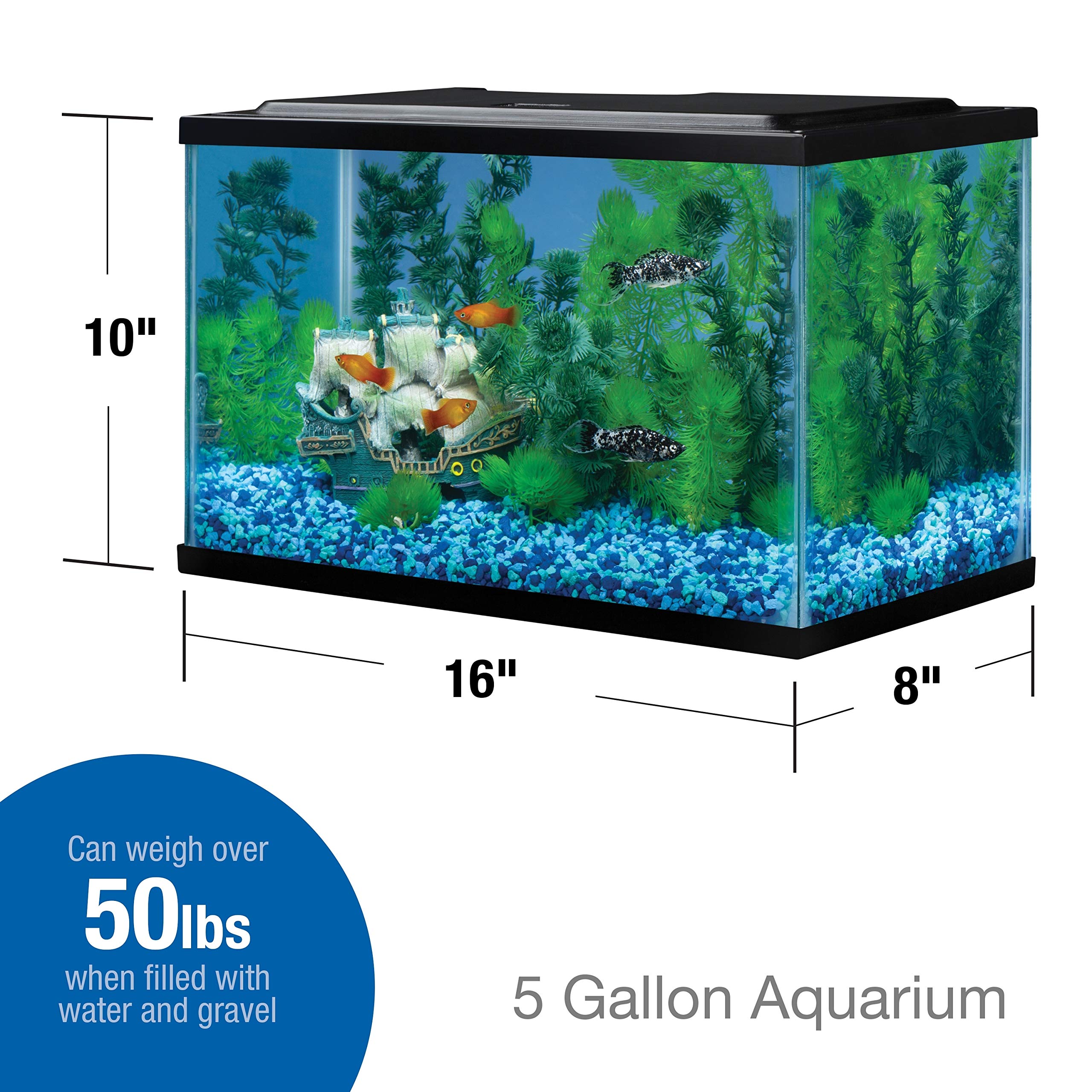 Tetra aquarium en verre 5,5 gal rectangulaire avec dimensions adaptées pour petits espaces.