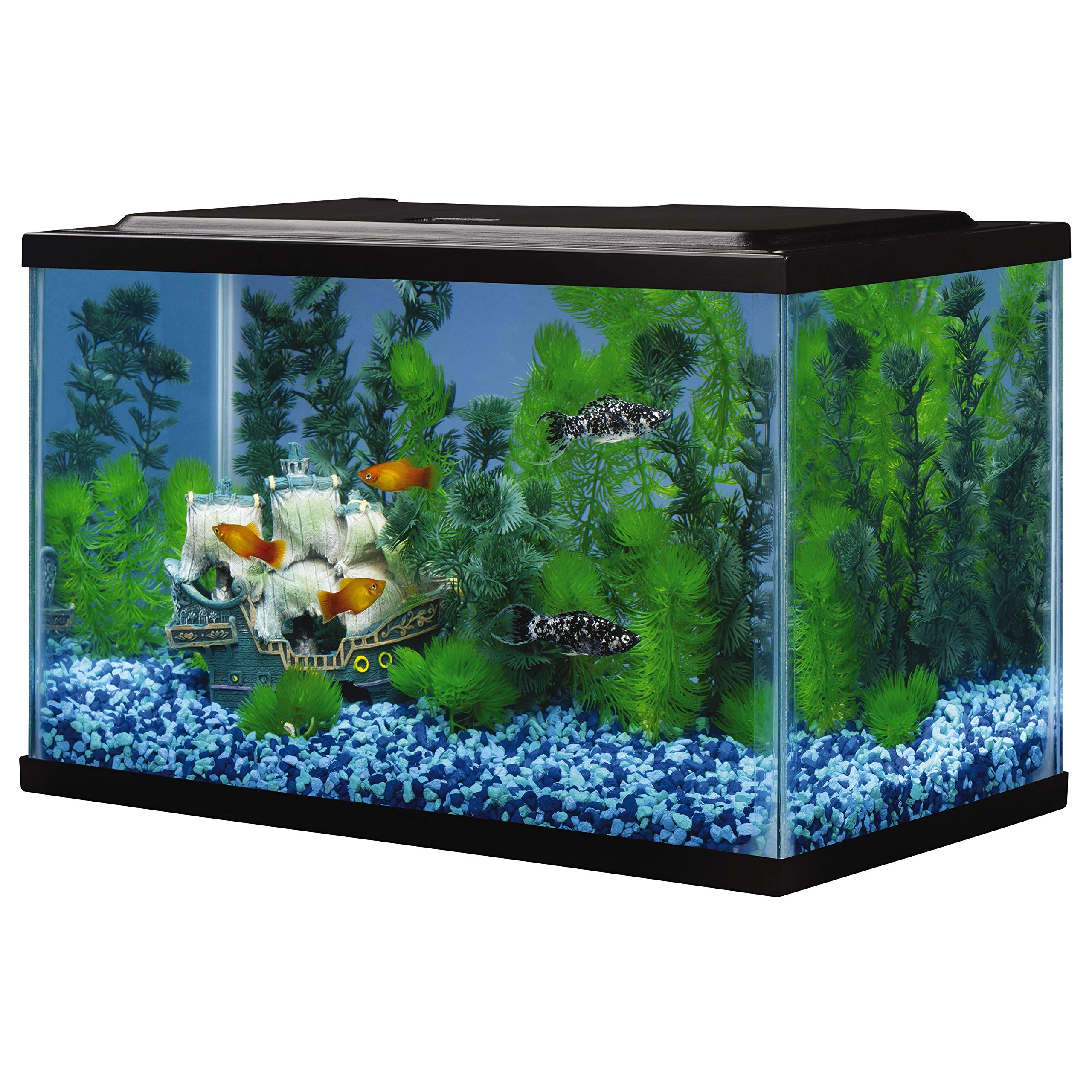 Décor et accessoires Tetra pour personnaliser l’aquarium 5,5 gal.