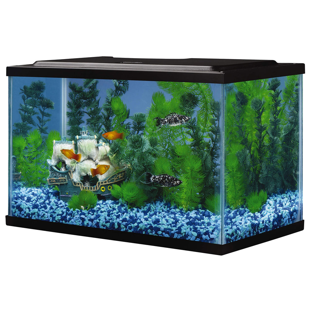 Décor et accessoires Tetra pour personnaliser l’aquarium 5,5 gal.