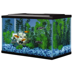 Décor et accessoires Tetra pour personnaliser l’aquarium 5,5 gal.