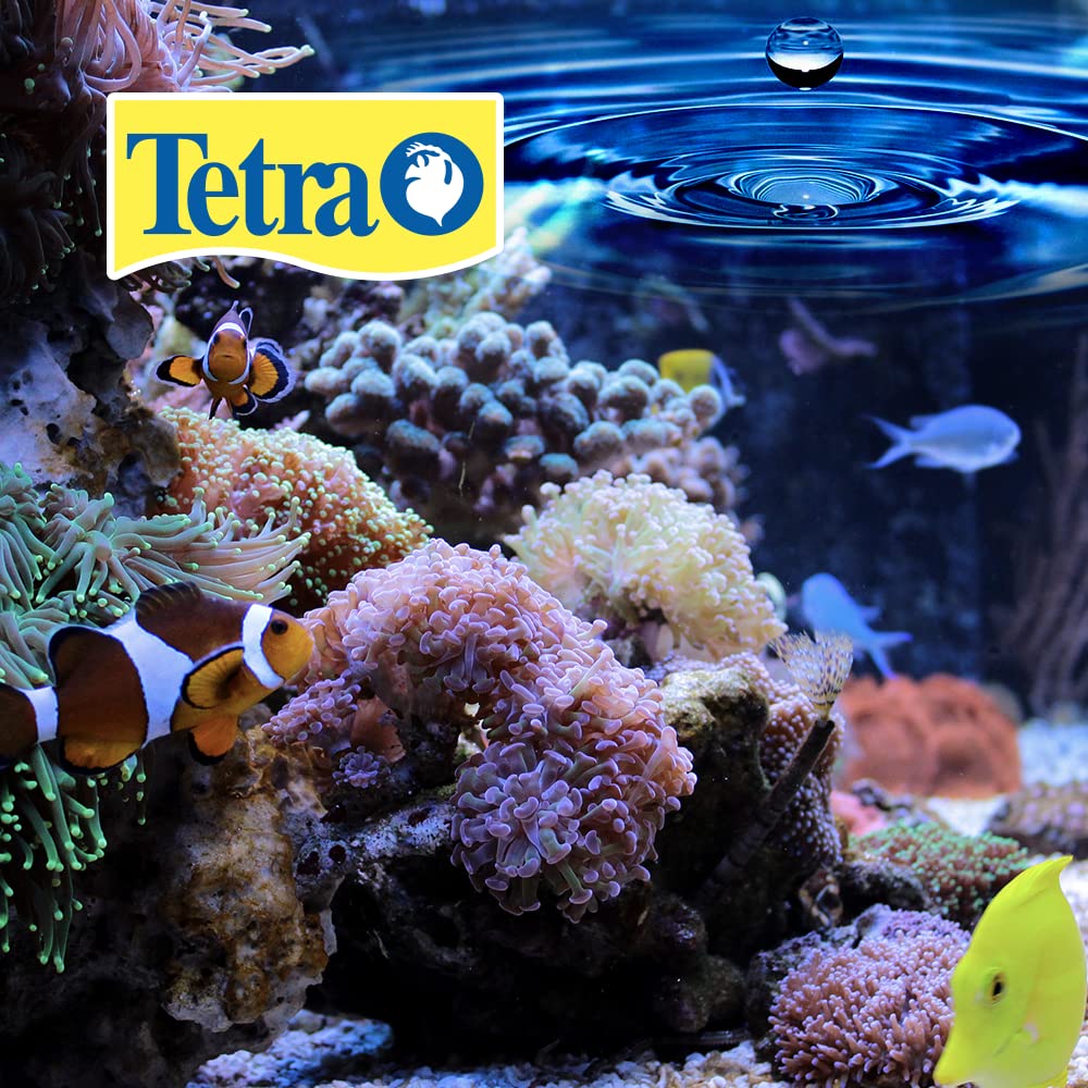 Tetra BettaSafe: etiquette-produit avec instructions claires pour l'entretien.