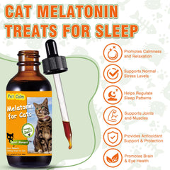 Tetra Cat Melatonin chat dormant sur le lit, repos nocturne potentiel.