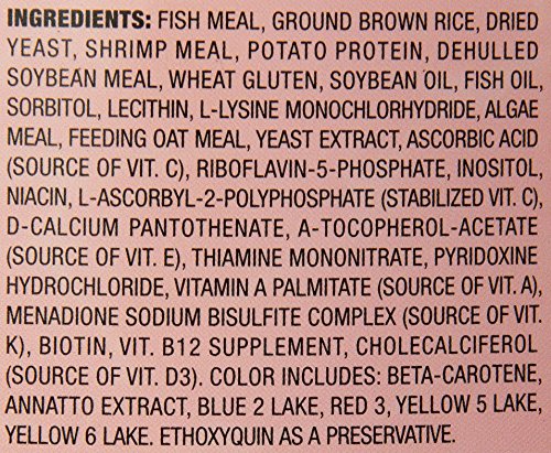 TetraCichlid Flakes biotine et oméga-3 pour métabolisme et vitalité des cichlids