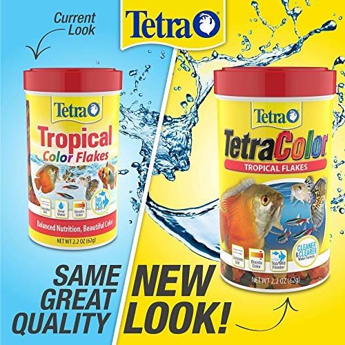 Tetra ColorPlus carotène : couleurs naturelles renforcées des poissons tropicaux.
