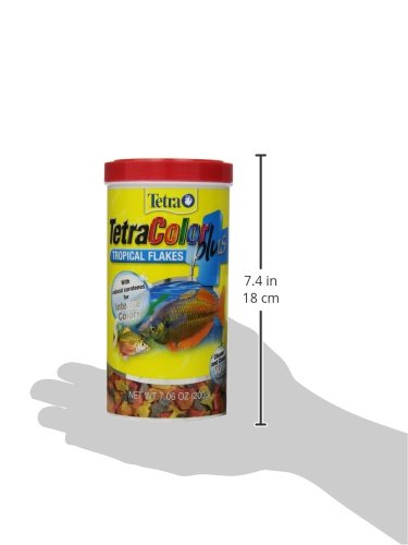Tetra ColorPlus nourriture principale : alimentation complète pour poissons tropicaux colorés.
