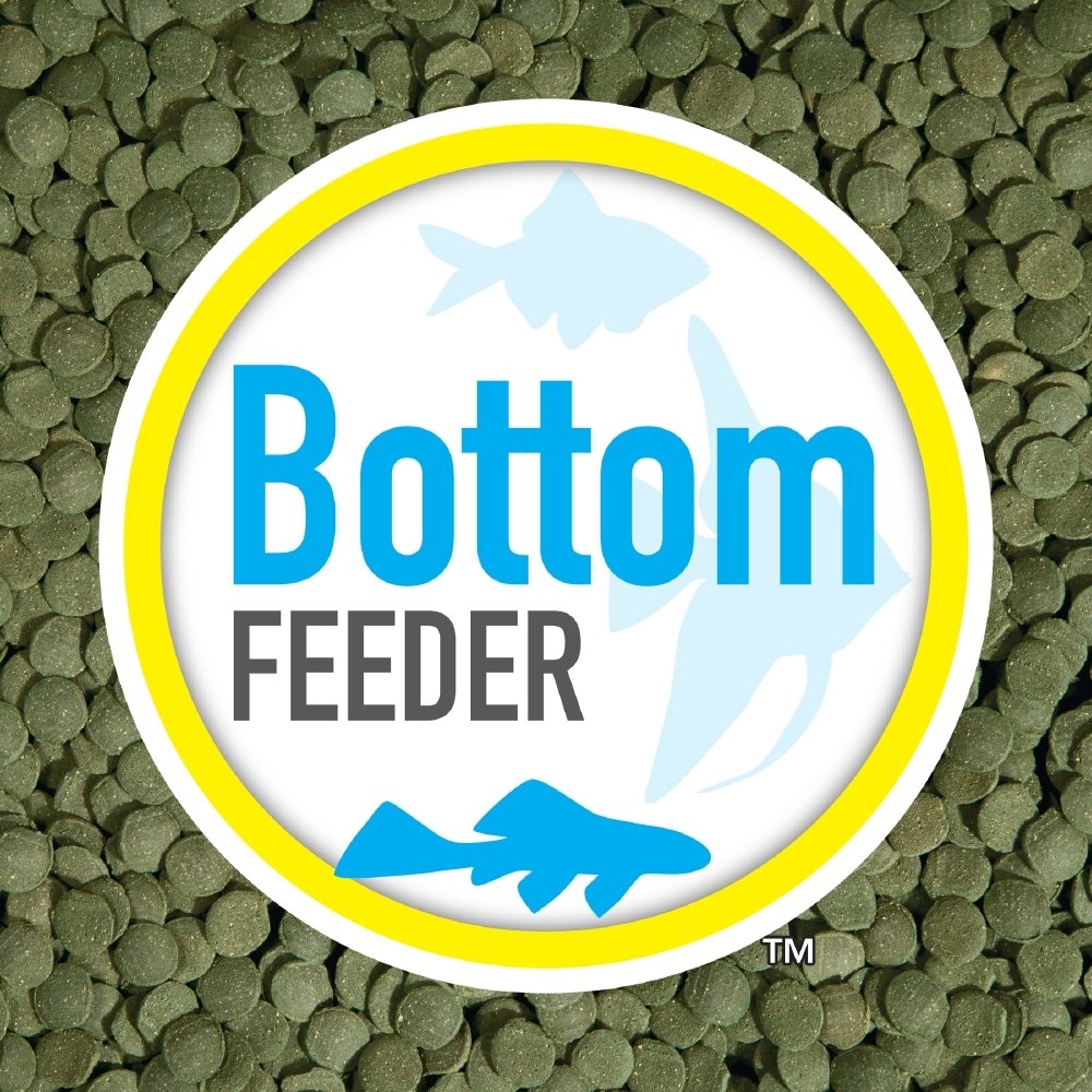 Ration quotidienne variée facilitée par ce régime complet.