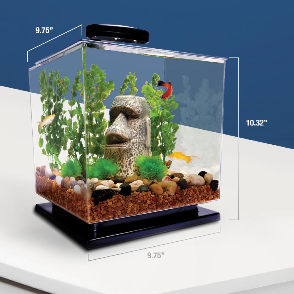 Tetra Cube 3 galons — couvercle transparent, protection et accessibilité.