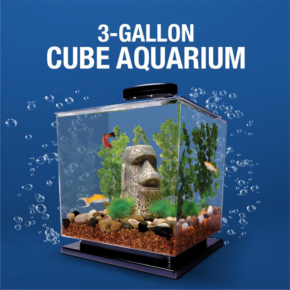 Tetra Cube 3 galons — filtre 3i pour eau propre et environnement sain.