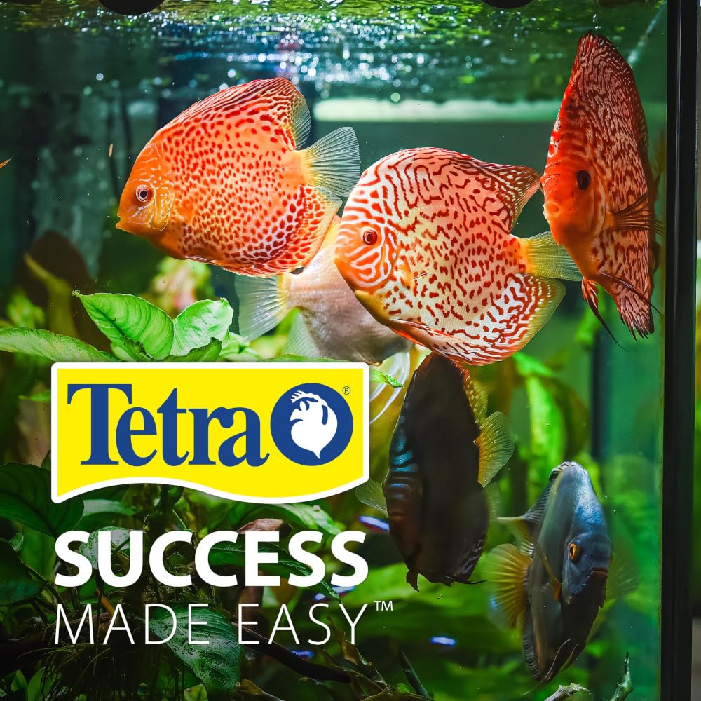 Tetra Cube 3 galons — habitat compact pour petits poissons et débutants.