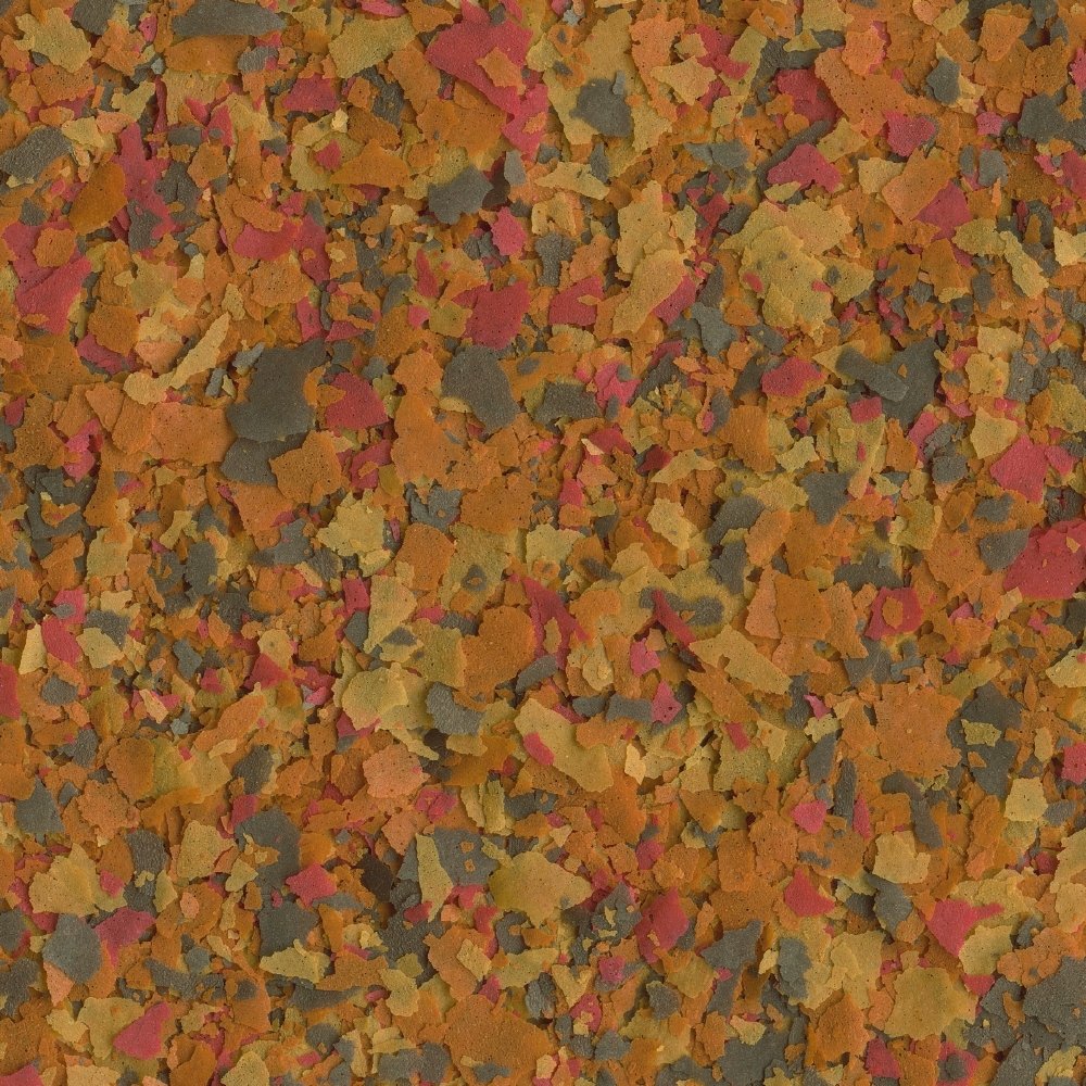 Poissons colorés nourris par les flocons de la marque Tetra, couleur renforcée.
