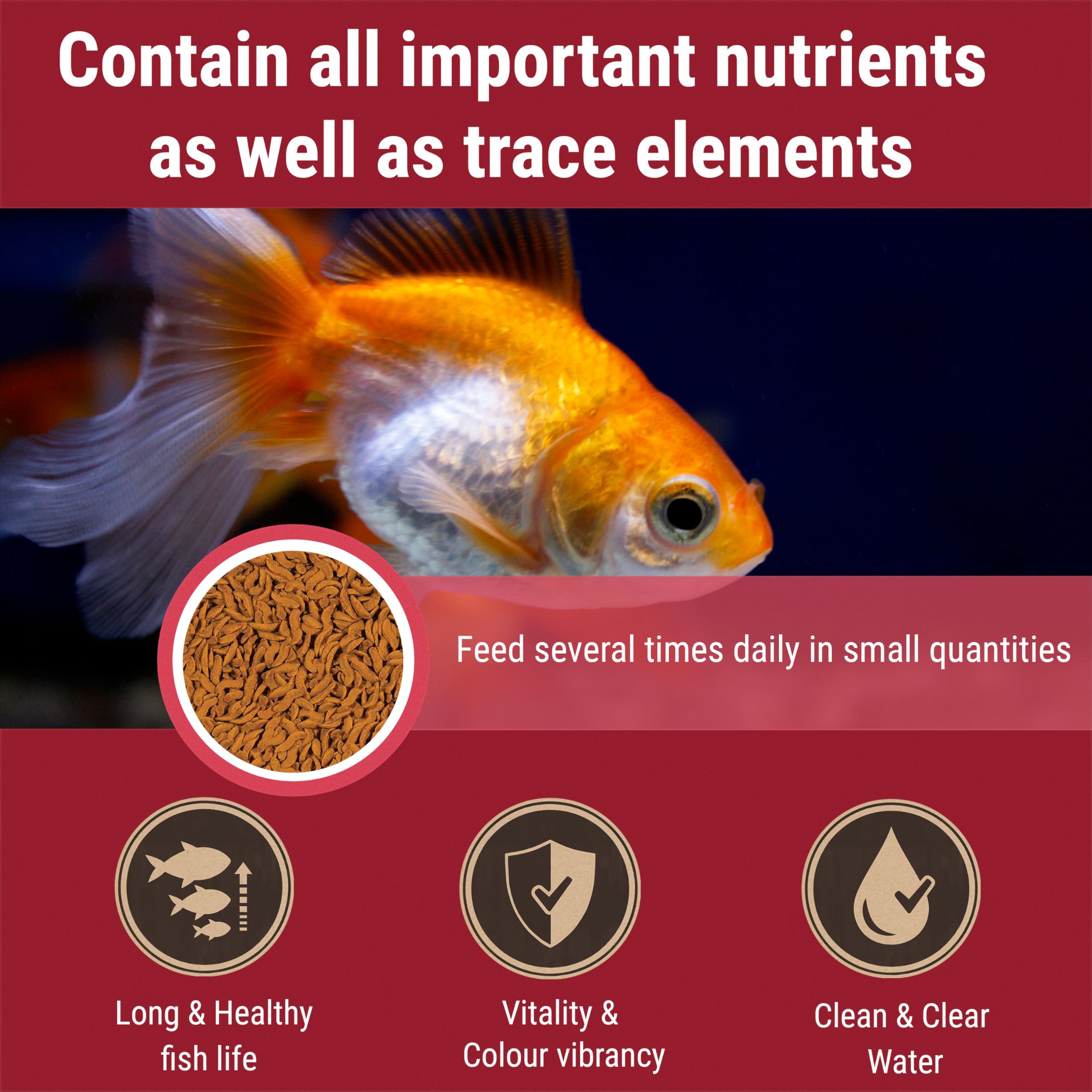 Tetra Goldfish bouchées riches en caroténoïdes pour intensifier les couleurs