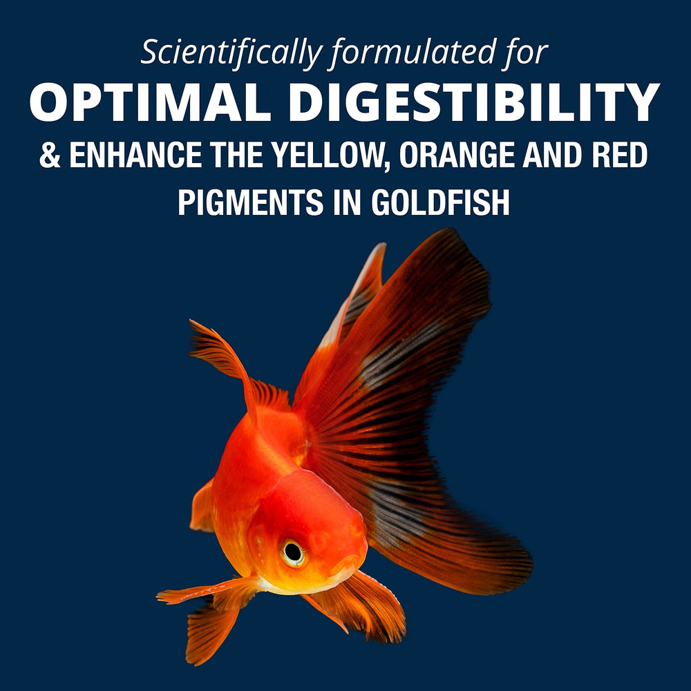 Tetra Goldfish forme ver, alignée sur l'instinct alimentaire