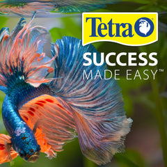 Tetra Ick Guard pour aquarium d’eau douce, sans modifier la température.
