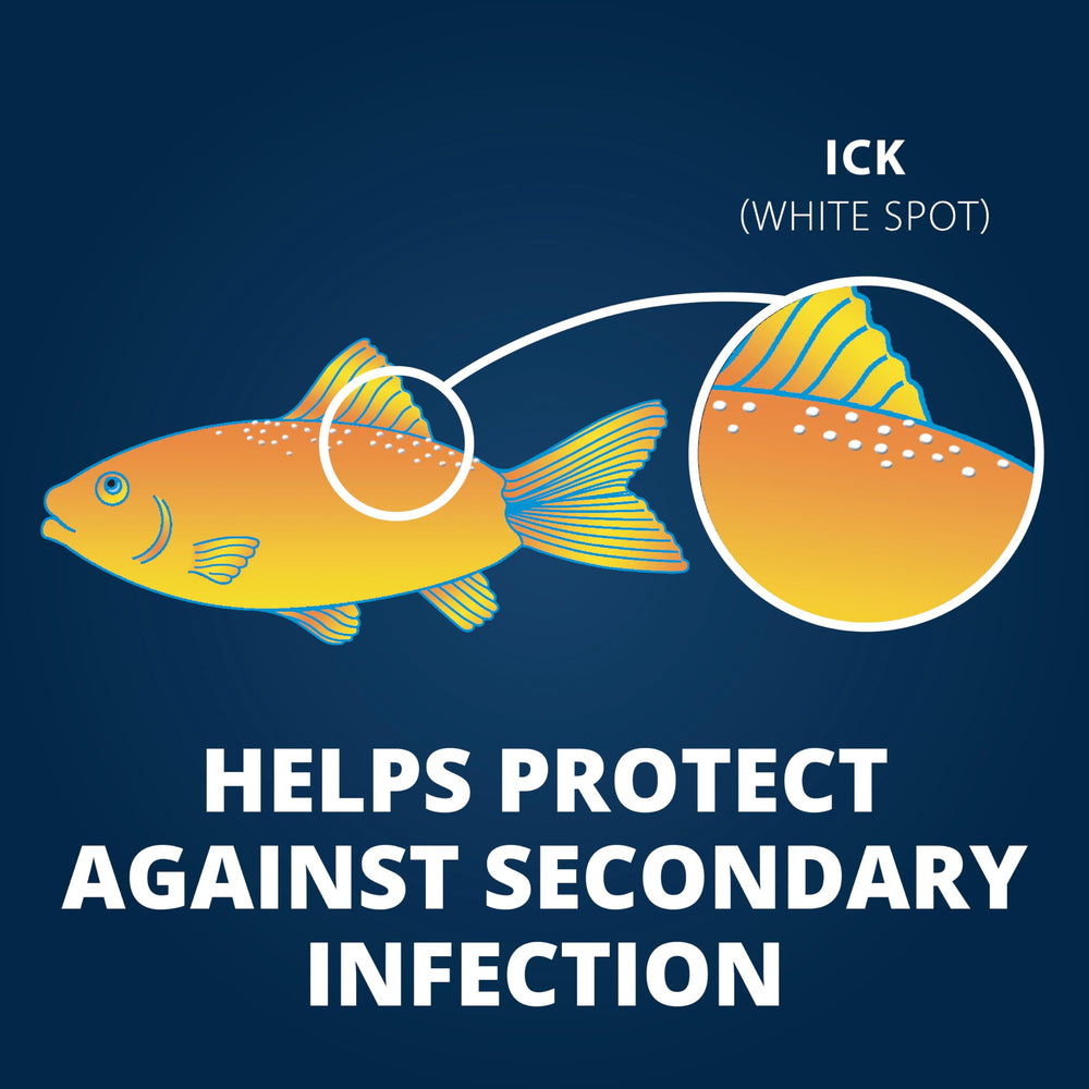 Les tablettes fizz de Tetra Ick Guard se dissolvent rapidement.