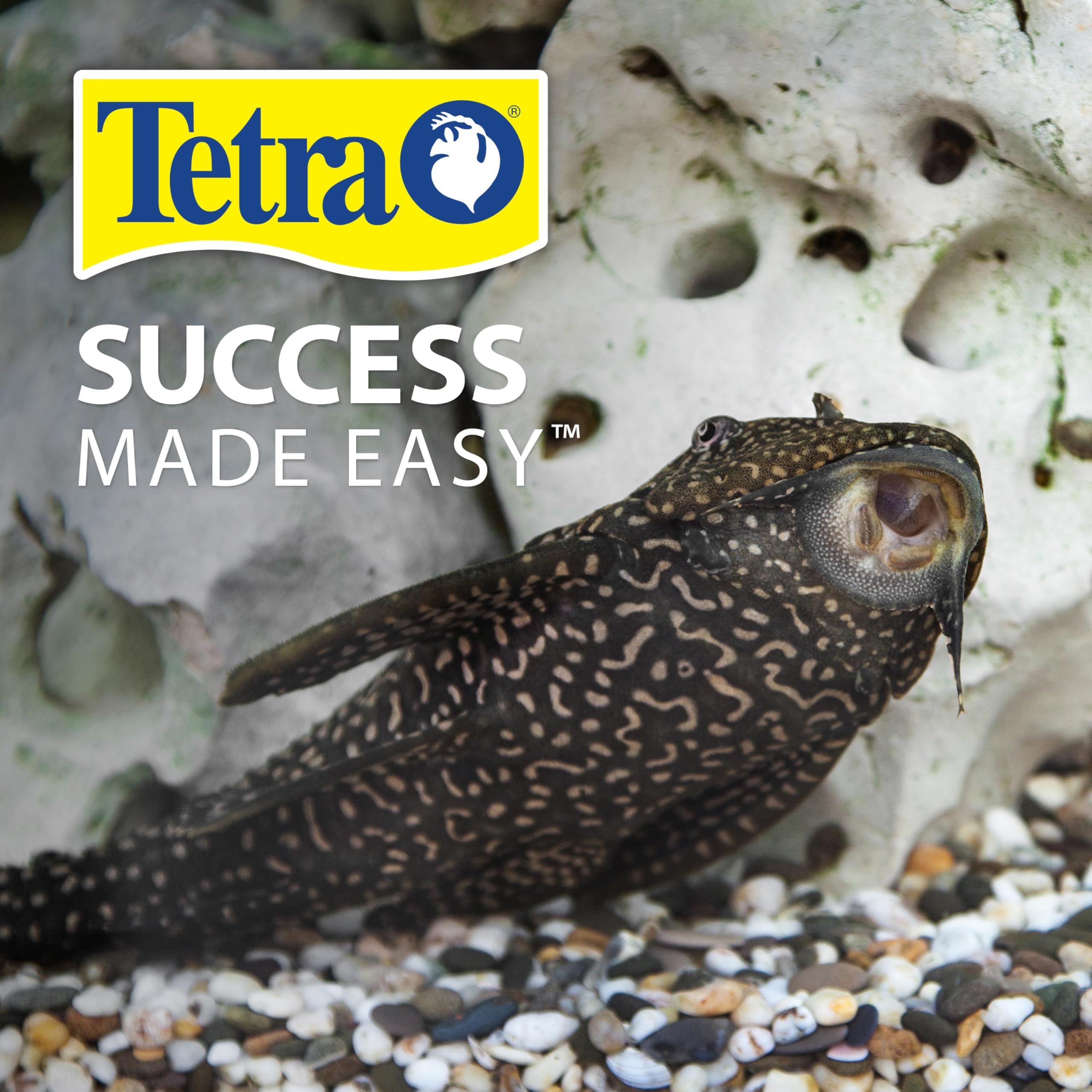 Tetra PlecoWafers alimentation complète, idéale pour les poissons à fond.