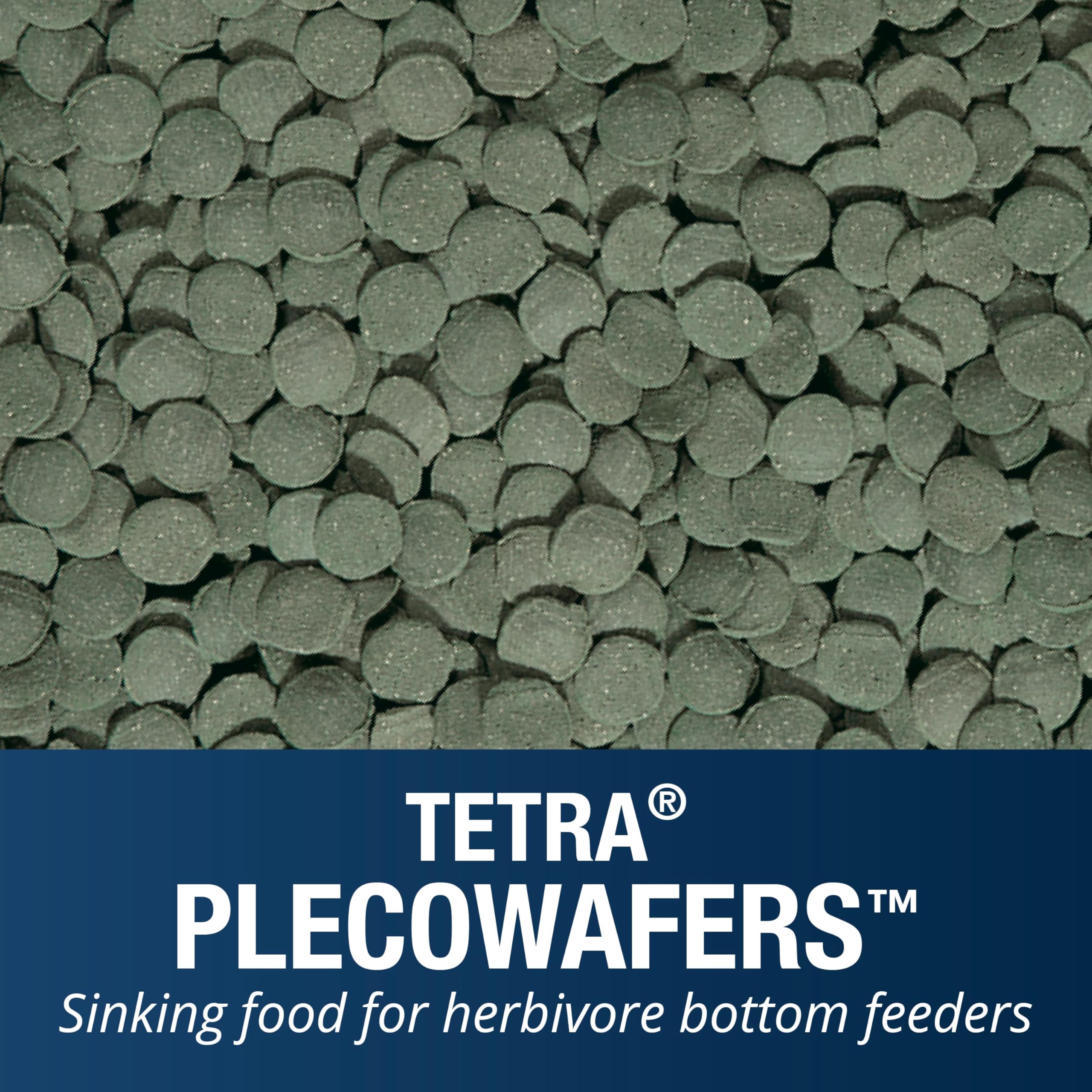 Tetra PlecoWafers nutrition quotidienne pour un régime simple et pratique.