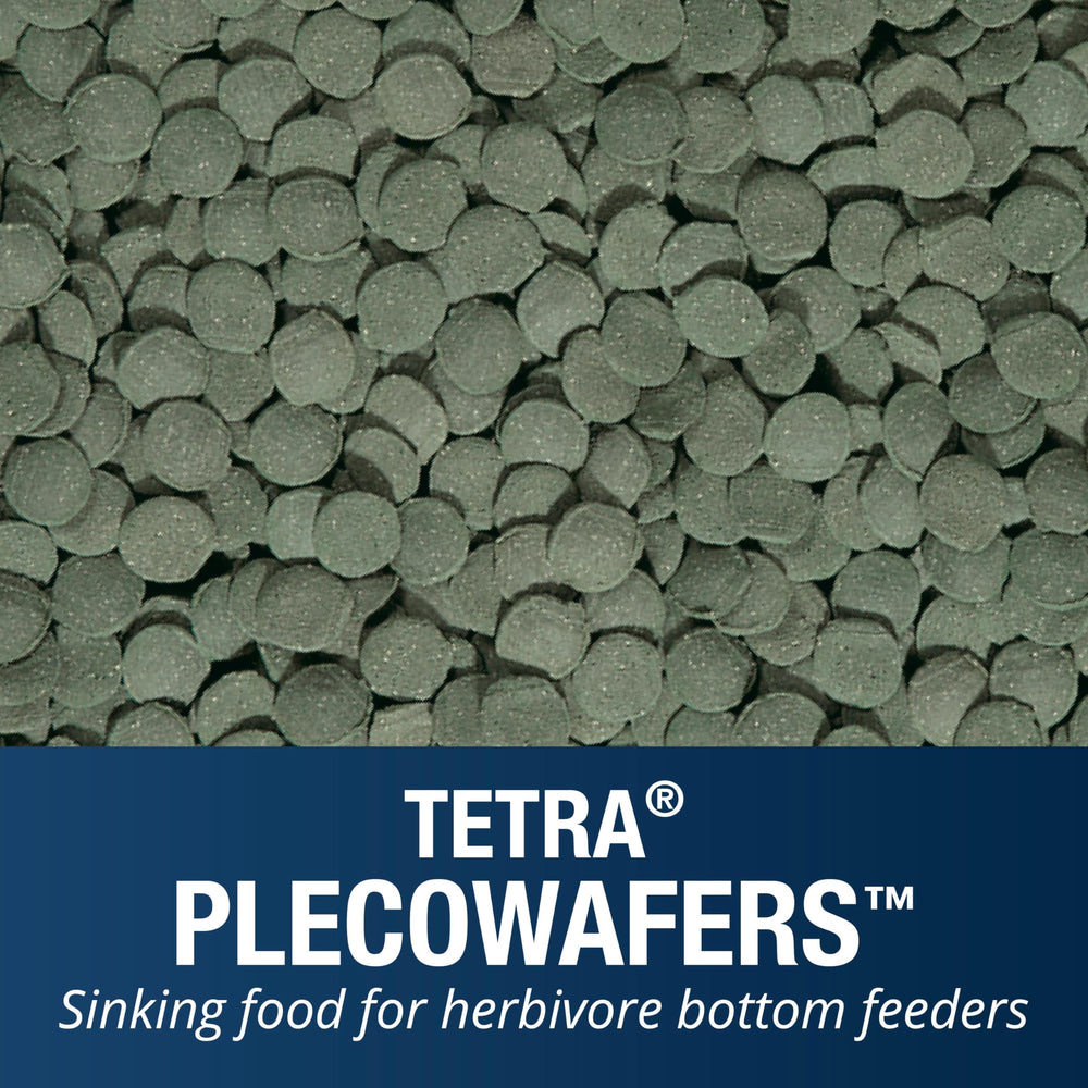 Tetra PlecoWafers nutrition quotidienne pour un régime simple et pratique.