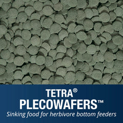 Tetra PlecoWafers nutrition quotidienne pour un régime simple et pratique.