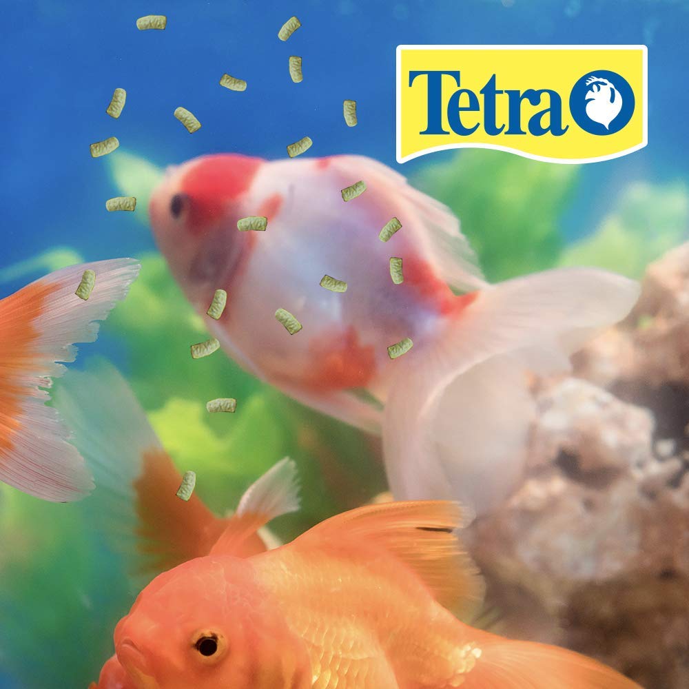 Bâtonnets TetraPond – nutrition équilibrée pour énergie et longévité des poissons de bassin.