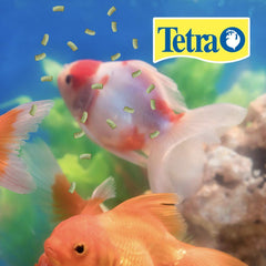 Bâtonnets TetraPond – nutrition équilibrée pour énergie et longévité des poissons de bassin.