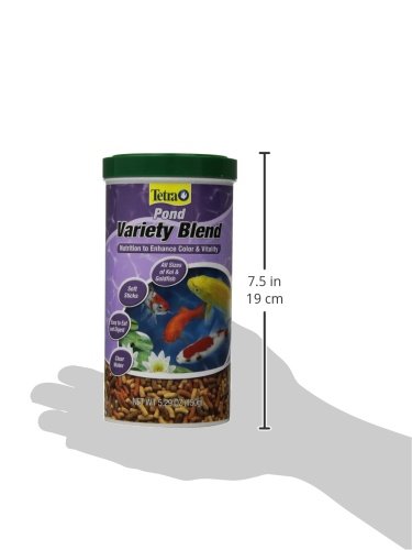 Tetra Pond Alimentation: vue produit avec éclat des couleurs chez koï et poisson rouge.